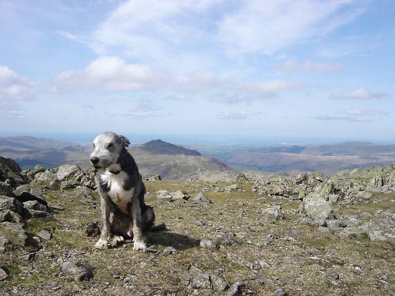Grey Friar - 13th May 045