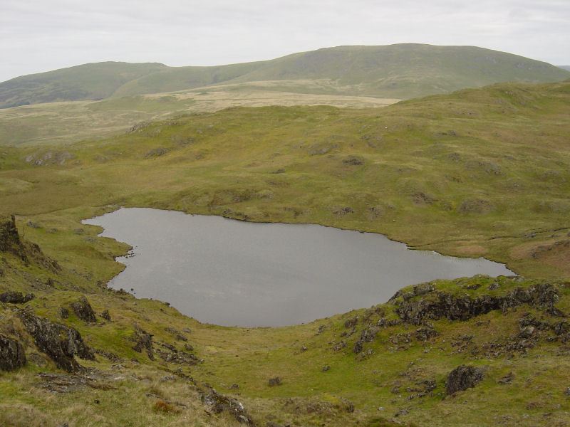 Lower Eskdale - 27th May 003