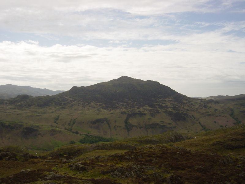 Lower Eskdale - 27th May 011