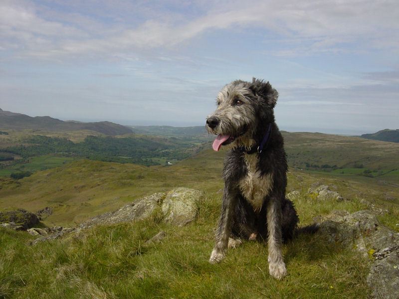 Lower Eskdale - 27th May 024