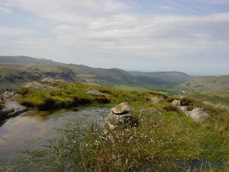 Lower Eskdale - 27th May 045