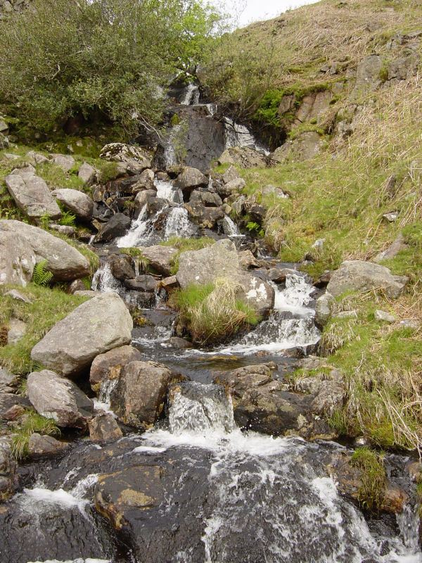 Lower Eskdale - 27th May 056