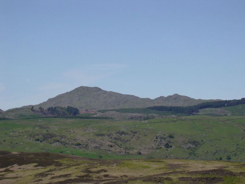 Beacon Fell - 31st May 031