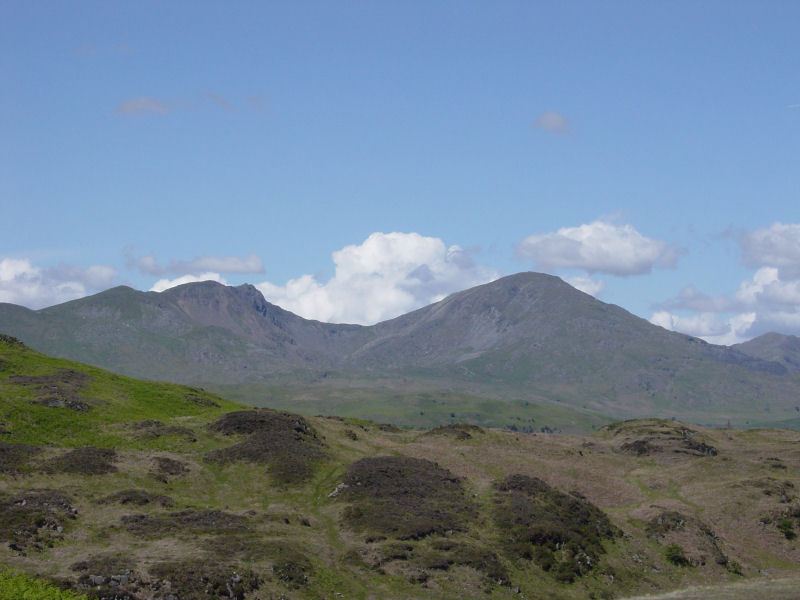 Beacon Fell - 31st May 050
