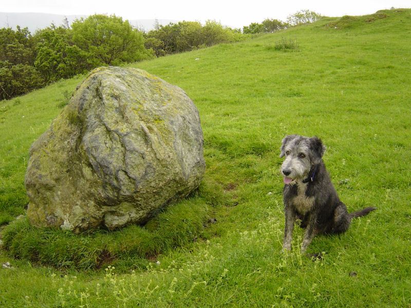 Duddon  - 2nd June 019
