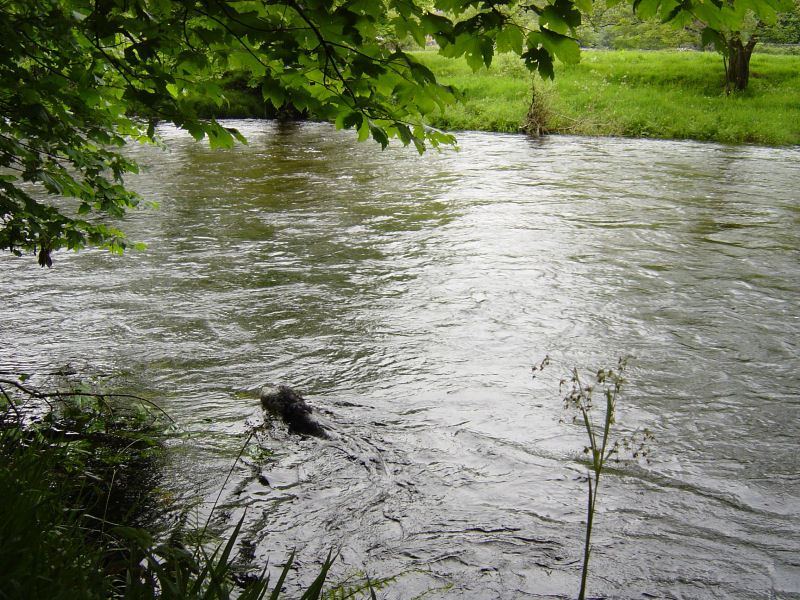 Duddon  - 2nd June 030