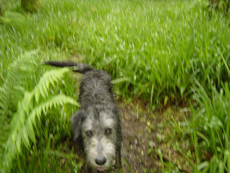 Duddon  - 2nd June 036
