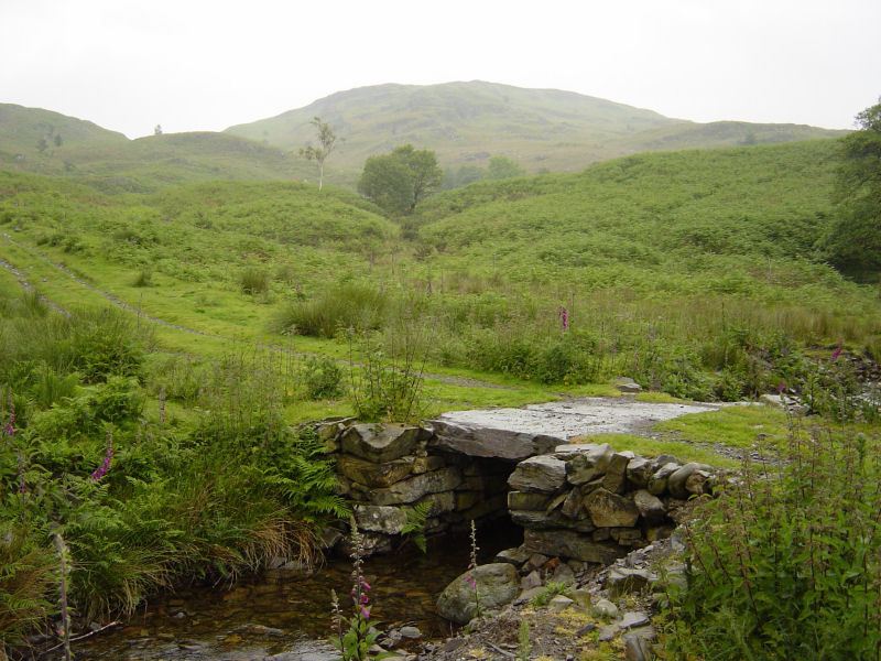Woodland Fell - 15th June 001