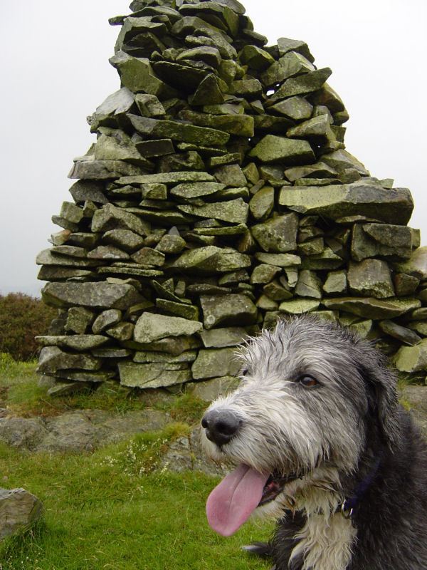 Woodland Fell - 15th June 007