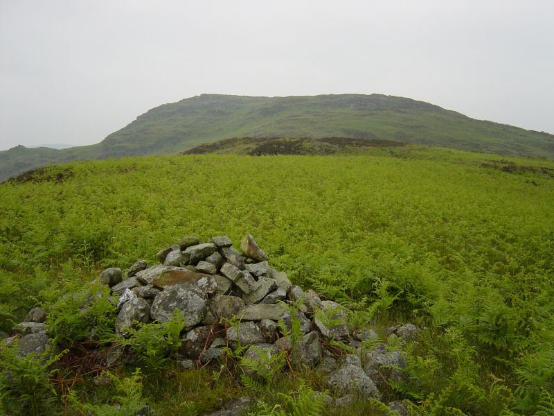 Woodland Fell - 15th June 009