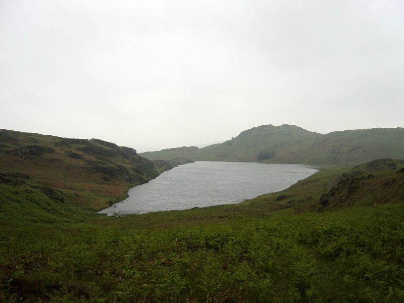 Woodland Fell - 15th June 010