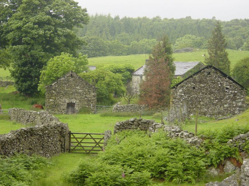 Woodland Fell - 15th June 018