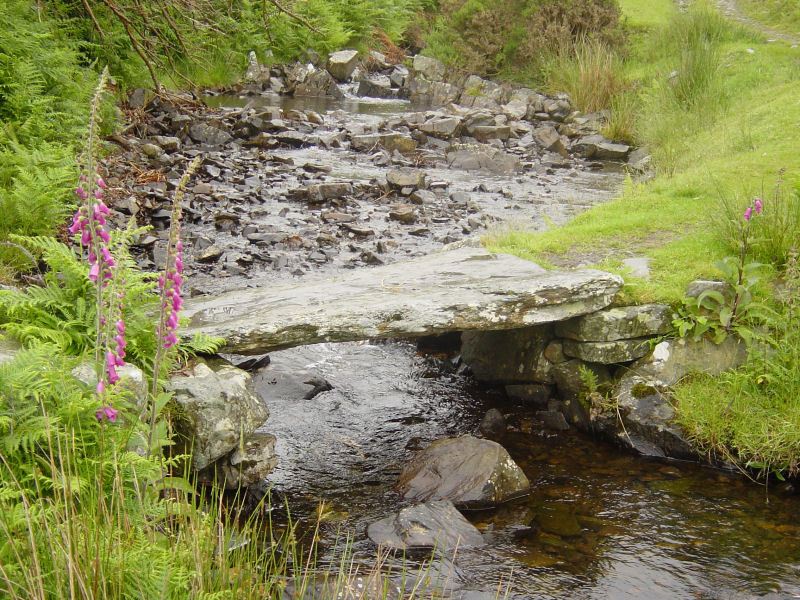 Woodland Fell - 15th June 019