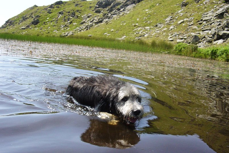 Stickle Pike - 12th July 006