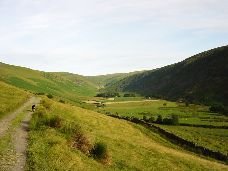 Back O' Skiddaw - 13th July 002
