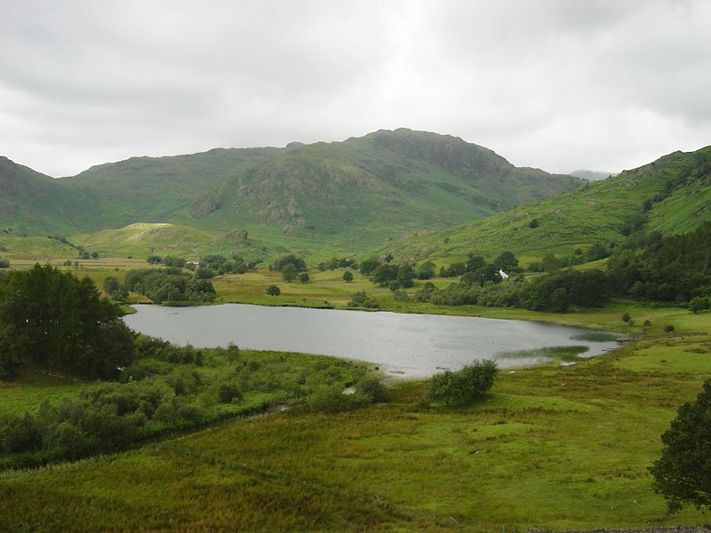 Little Langdale Tarn - 19th July 030