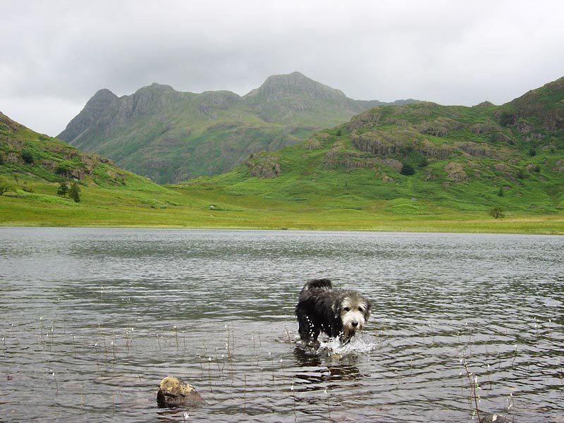 Little Langdale Tarn - 19th July 046