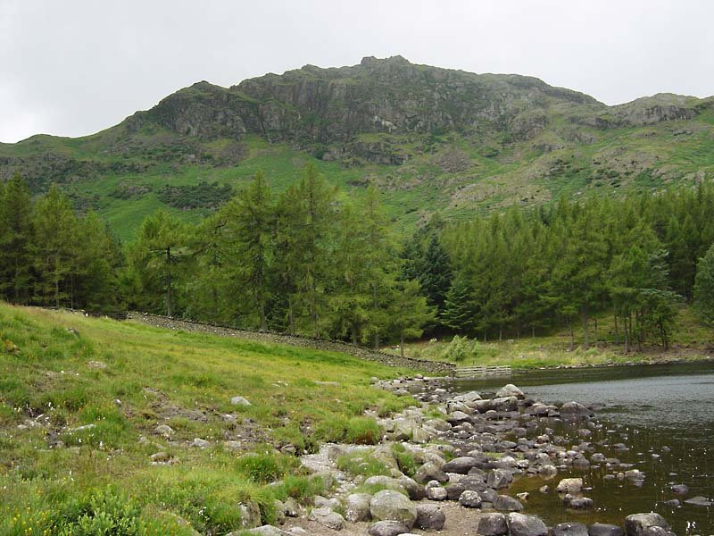 Little Langdale Tarn - 19th July 049