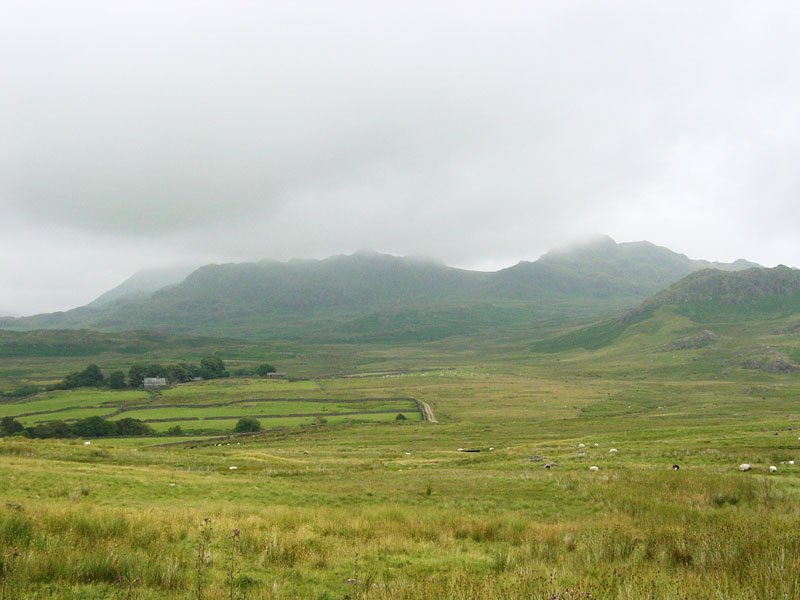 Rough Crag - 22nd July 001