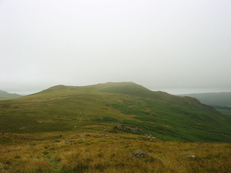 Rough Crag - 22nd July 015
