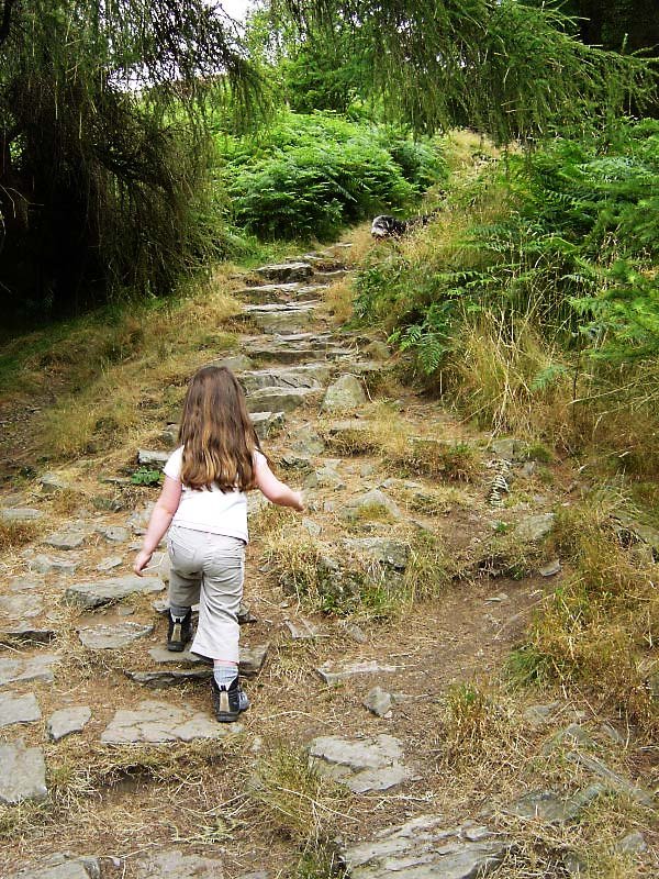 Gummer's How - 10th August 003