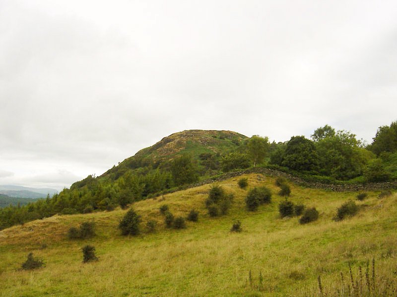 Gummer's How - 10th August 047