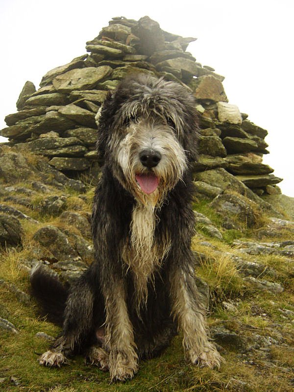 Stickle Pike - 7th September 015