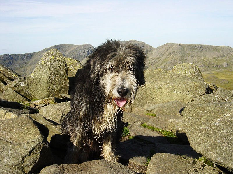 Bow Fell - 12th September 025