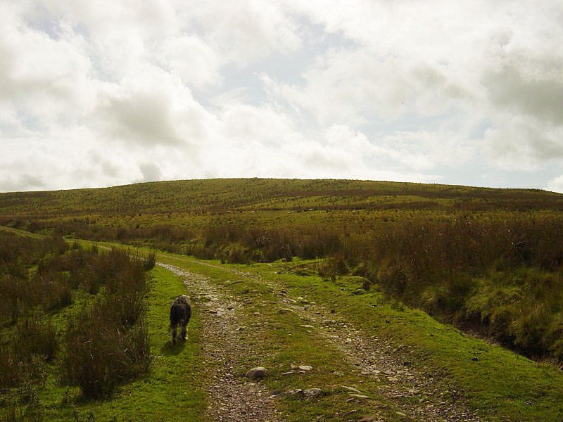 Ponsonby Fell - 20th September 056
