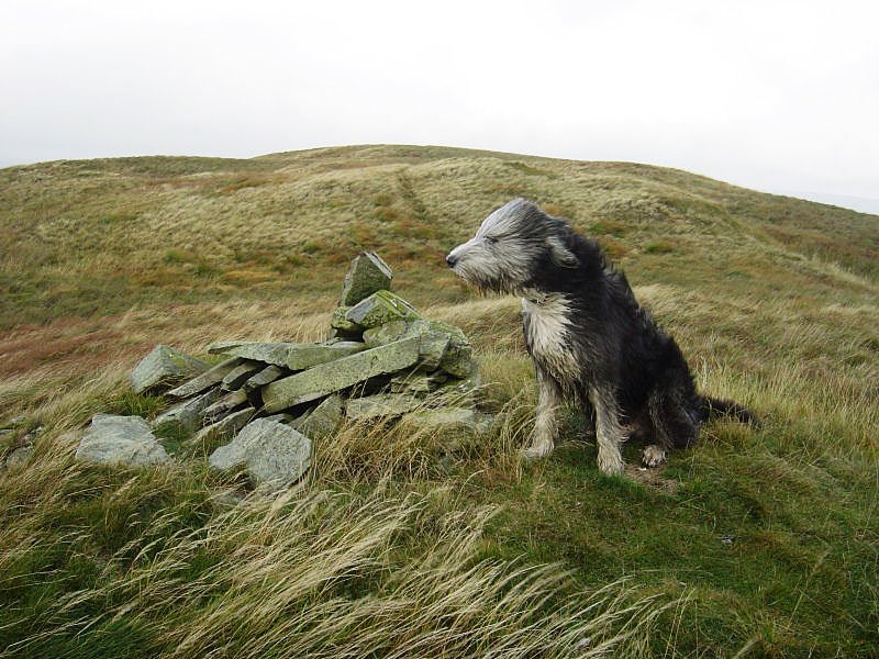The Crookdale Horseshoe - 22nd September 007