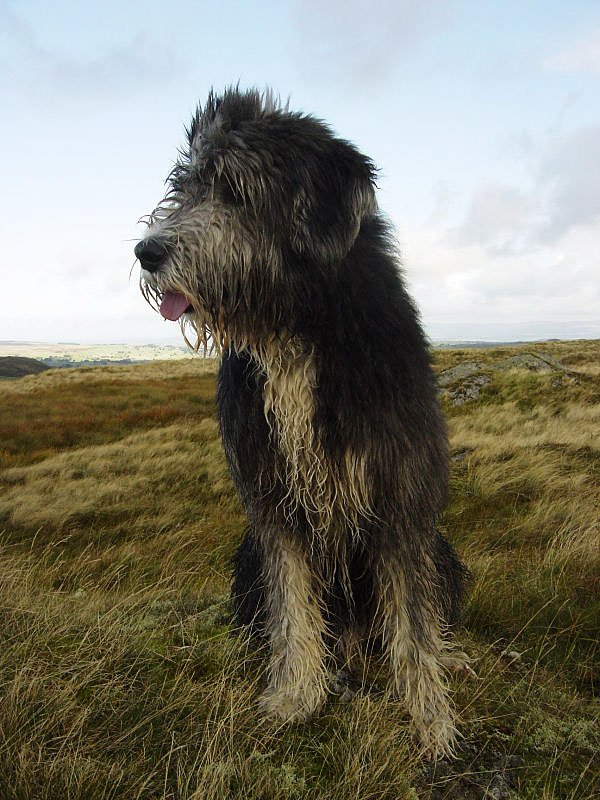 The Naddle Horseshoe - 29th September 020