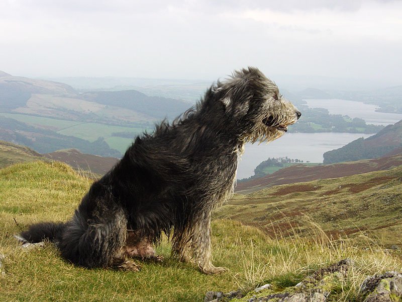 Place Fell - 18th October 034
