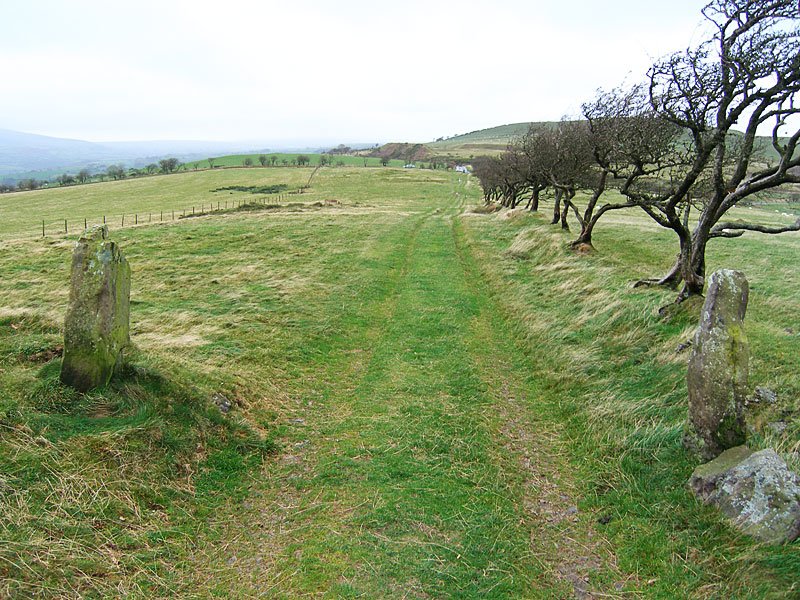 Gavel-Fell---02-11-05-006