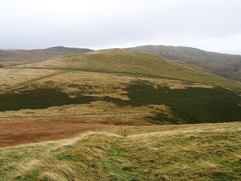 Gavel-Fell---02-11-05-014