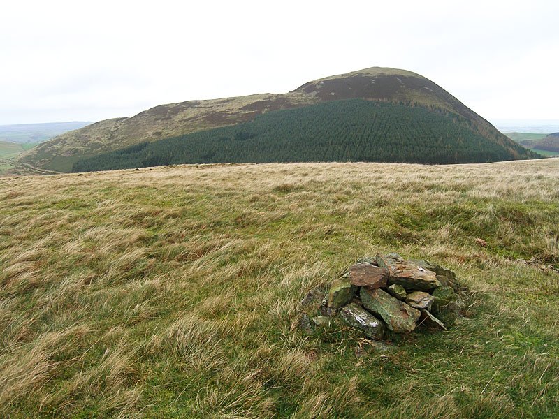 Gavel-Fell---02-11-05-019