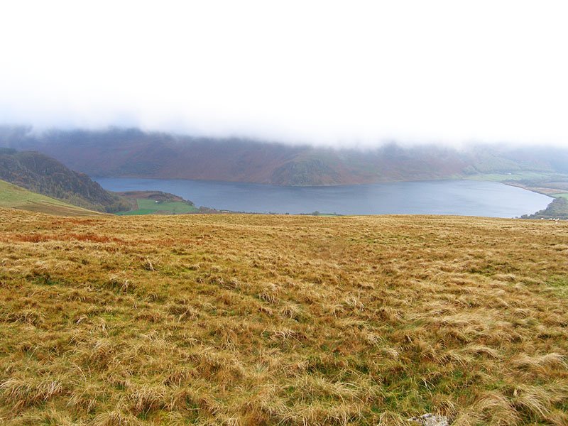 Gavel-Fell---02-11-05-024