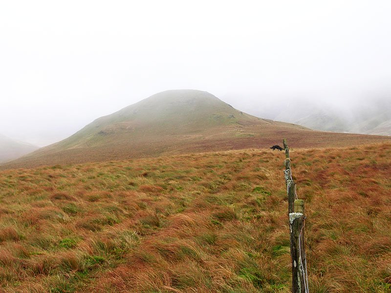 Gavel-Fell---02-11-05-040