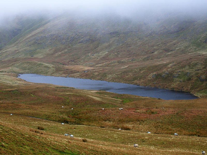 Gavel-Fell---02-11-05-042