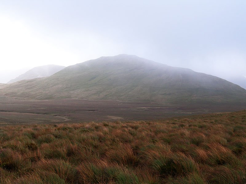 Gavel-Fell---02-11-05-046