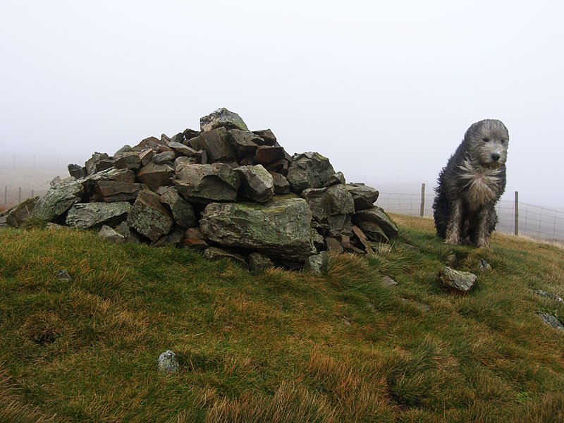 Gavel-Fell---02-11-05-050