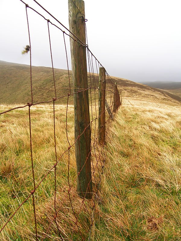 Gavel-Fell---02-11-05-060