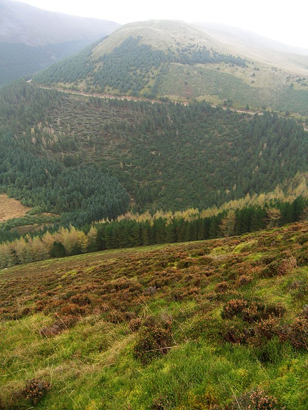 Gavel-Fell---02-11-05-073