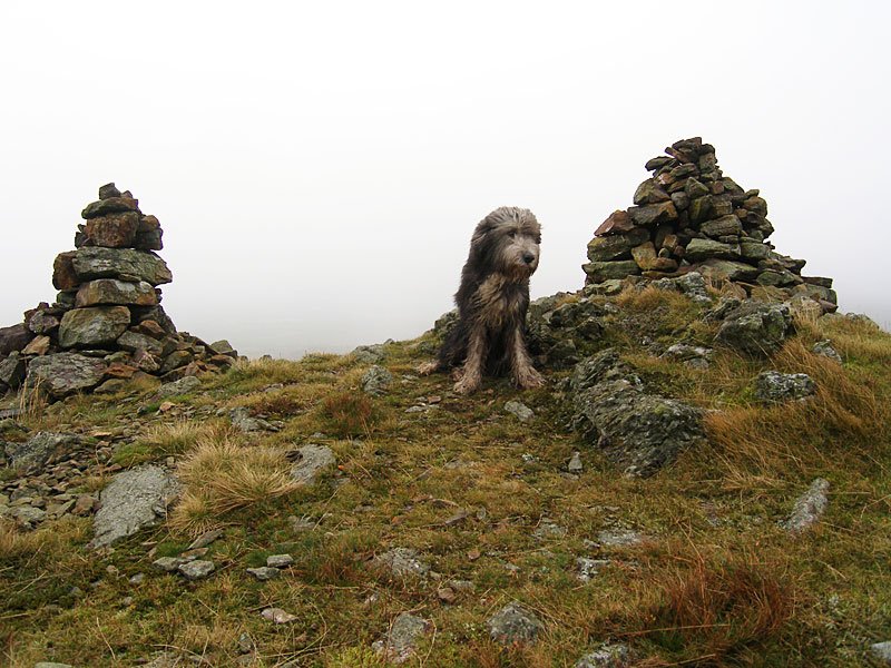 Gavel-Fell---02-11-05-074