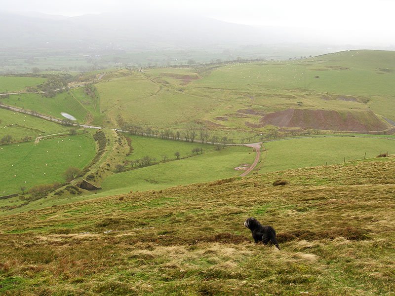 Gavel-Fell---02-11-05-081