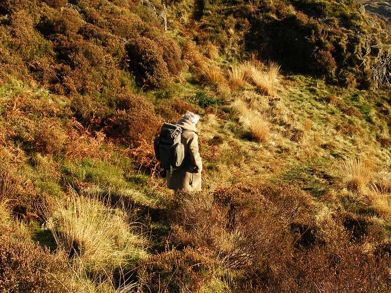 d Harter-Fell---15-11-05-021