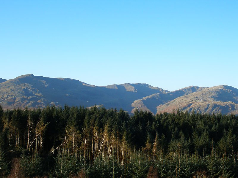 PC121790.jpg