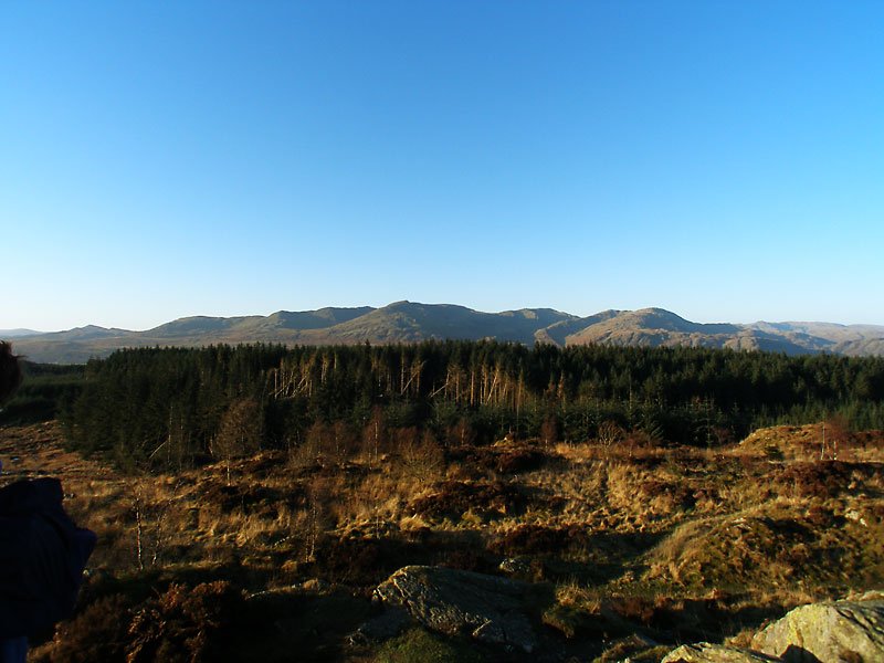 PC121802.jpg
