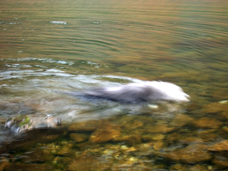 c. 21.12.05-061.jpg