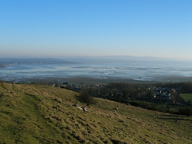 29.01.06-008