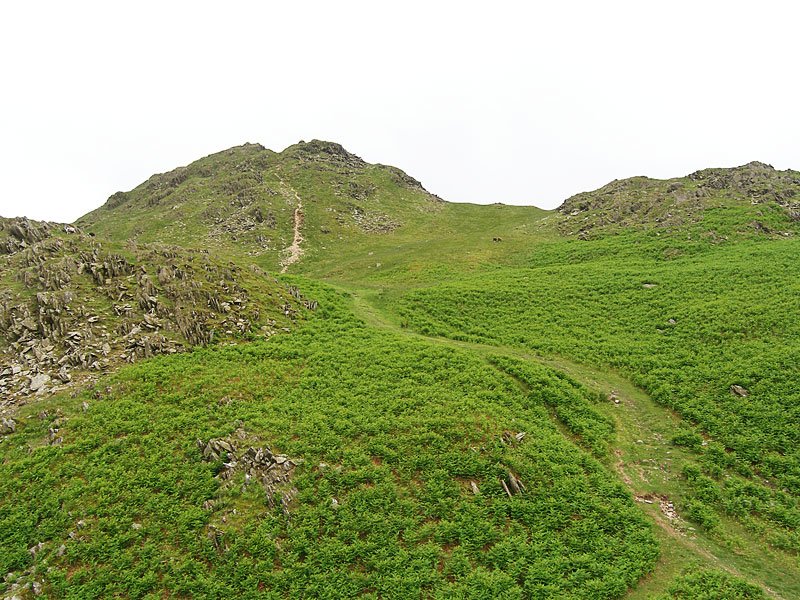 20.06.06-006